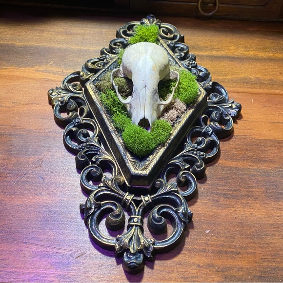 Raccoon Skull Moss Victorian Style Frame Decoration - Picture 4 of 13